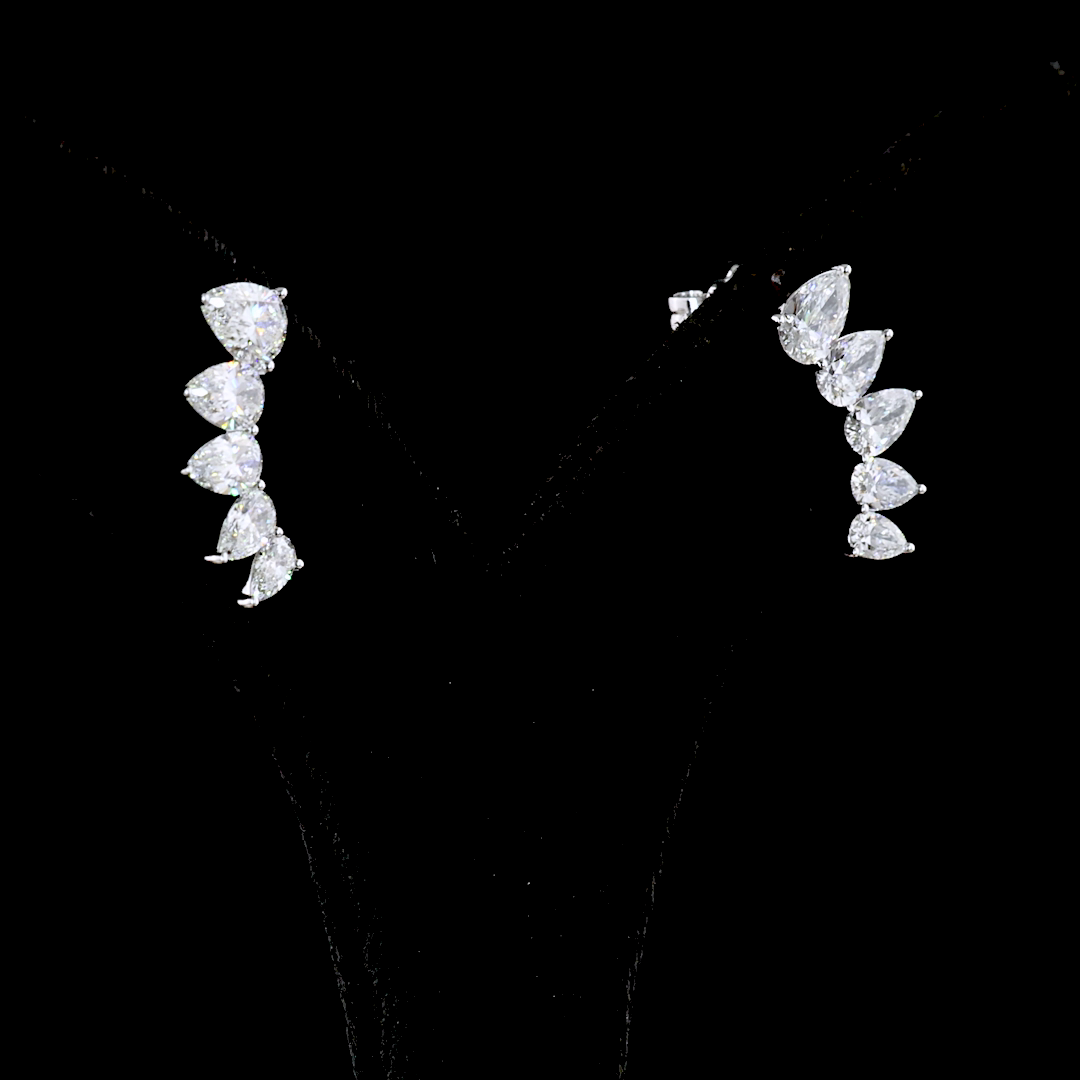 THE BIANCA EAR CRAWLERS